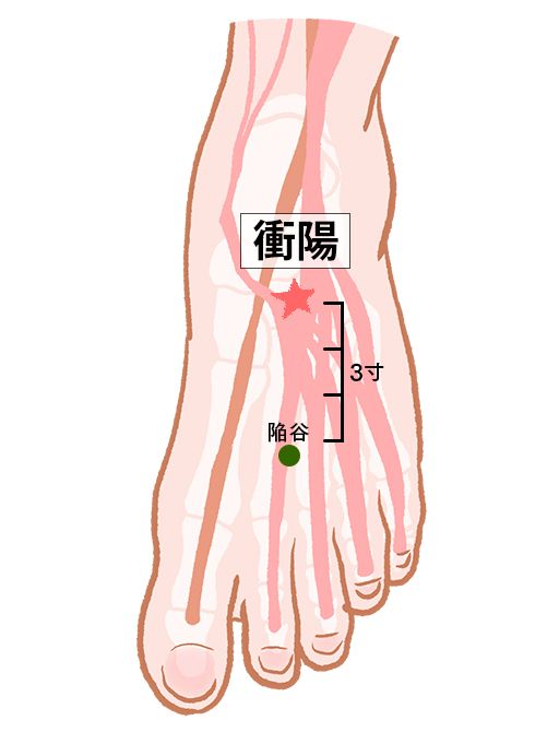 衝陽（しょうよう）：胃経のツボ