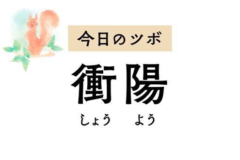胃痛や食欲不振を軽減する「衝陽」のツボ。顔のむくみや顔面麻痺、精神症状にも作用