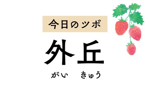 片頭痛や首の痛み、脇腹の痛みや坐骨神経痛に効く「外丘」。てんかんの症状も緩和