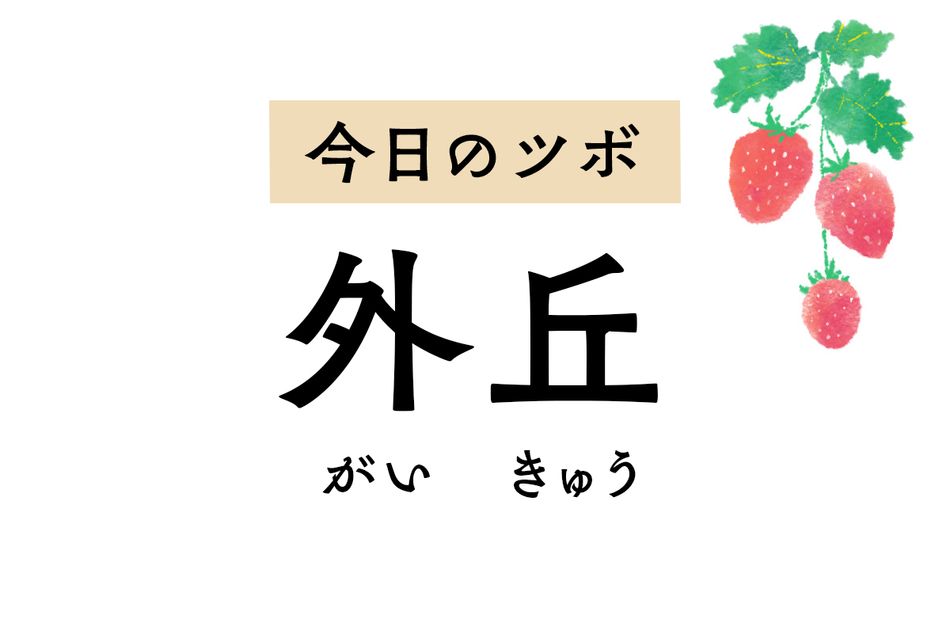 片頭痛や首の痛み、脇腹の痛みや坐骨神経痛に効く「外丘」。てんかんの症状も緩和
