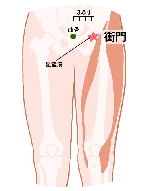 衝門（しょうもん）：脾経のツボ
