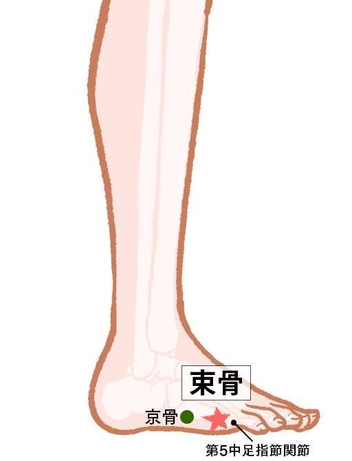 束骨（そっこつ）：膀胱経のツボ