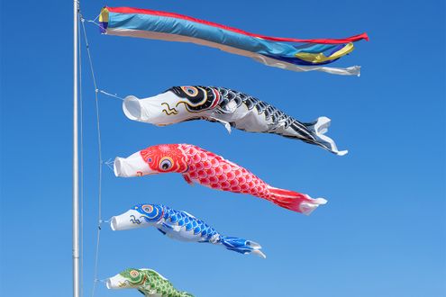 こいのぼりの泳ぎ方でおおよその風速を予想。初夏の「薫風」を“眺める”
