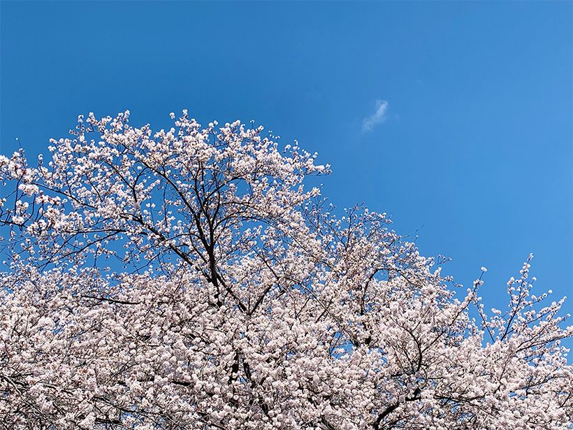 写真／荒木健太郎