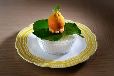 コースの幕開けを飾る「フォアグラとデコポン」は、フランス料理の真髄ともいえるフォアグラと、旬のデコポンを合わせたひと品。フォアグラの濃厚な味わいにデコポンの心地よい酸味が融合する。 