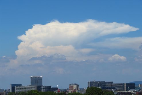 入道雲と積乱雲は実は別の雲。見分けるには雲の「頭」に注目