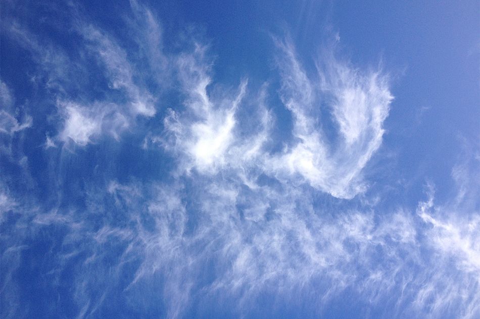 まるで魚の骨のよう！「肋骨巻雲」はとても寒い、高い空に見られます