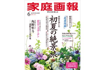 『家庭画報』2026年6月号　通常サイズ版