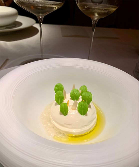 「東京白カビ ブラマンジェ」