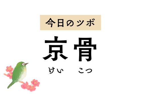 大きな骨の意味を持つ「京骨」は小児のひきつけやてんかん、坐骨神経痛や捻挫に奏効