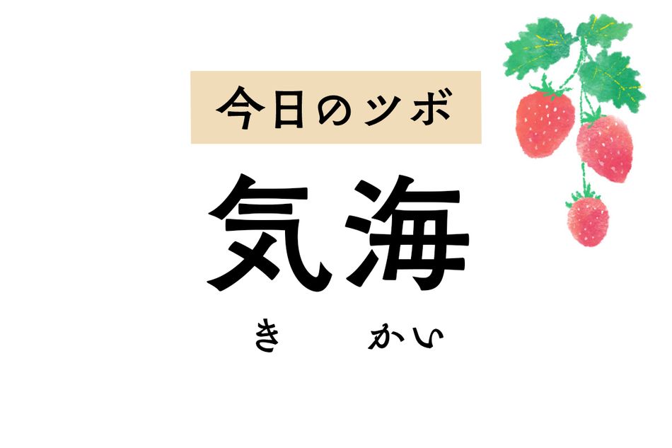 気を補い巡らせる「気海」。月経不順や月経痛、早期閉経など生殖機能に作用します