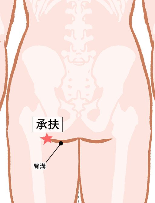 承扶（しょうふ）：膀胱経のツボ