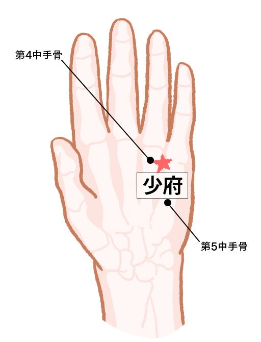 少府（しょうふ）：心経のツボ
