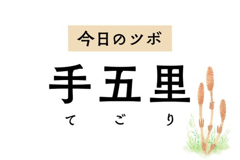 「手五里」は腕と肘の痛みやけいれんに効くツボ。首のリンパ節の腫れや痛みも緩和