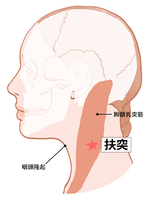 扶突（ふとつ）：大腸経のツボ