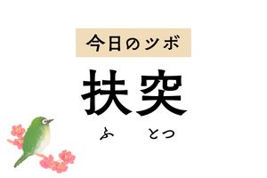 せきや喘息、喉の痛みを軽減する「扶突」。急性失声症や首・肩・腕の痛みにも用います
