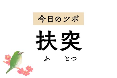 せきや喘息、喉の痛みを軽減する「扶突」。急性失声症や首・肩・腕の痛みにも用います