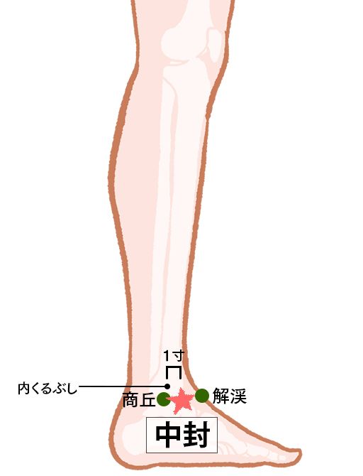中封（ちゅうほう）：肝経のツボ