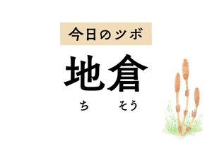 顔面麻痺による口角のゆがみや頬の腫れ、歯痛に効く「地倉」。よだれが多く出る時にも
