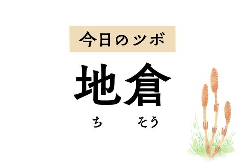 顔面麻痺による口角のゆがみや頬の腫れ、歯痛に効く「地倉」。よだれが多く出る時にも