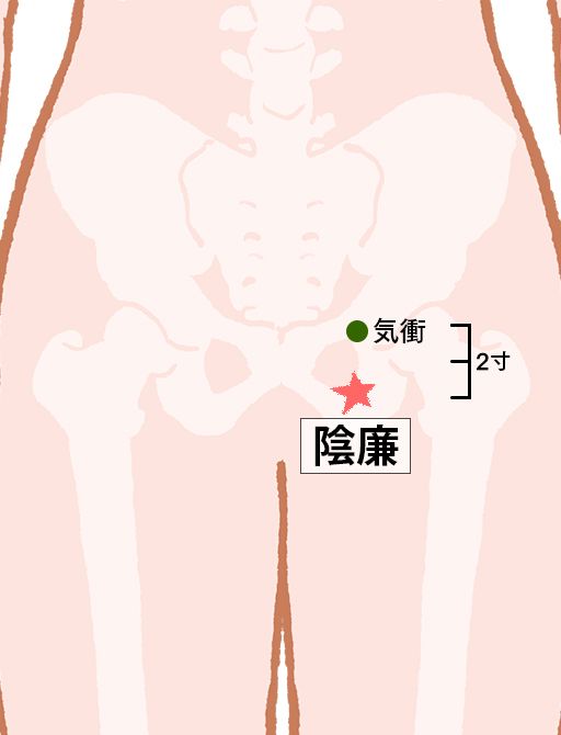 陰廉（いんれん）：肝経のツボ