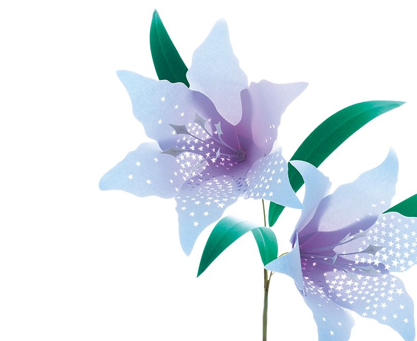 5月は「百合に広がる宇宙」
