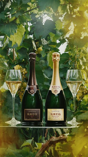 左から、クリュッグ 2013（Krug 2013）と、クリュッグ グランド・キュヴェ 174エディション（Krug Grande Cuvée 174 Édition）。アッサンブラージュによるスタイルの再現と、単一年による個性表現という、対照的なアプローチを示す。