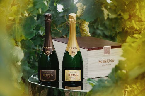 自然、時間、人の手が生み出すシャンパーニュ「クリュッグ」。その源泉を訪ねる