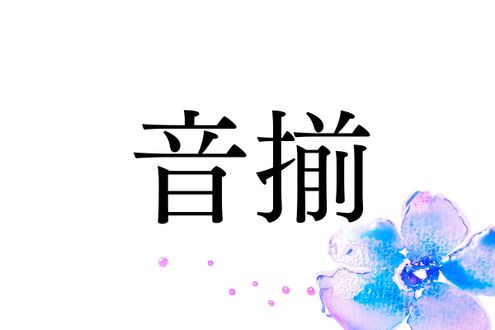 豊臣秀吉が与えた名字「音揃」。歴史好き必見のルーツとは