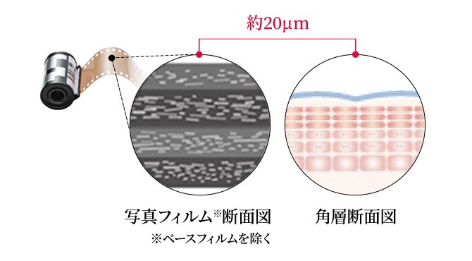 極薄の層が重なってできている写真フィルム。各層に細かな粒子を正しく配置するために進化してきたナノテクノロジーは、化粧品成分を極小化し、安定・高濃度配合することに役立つ。