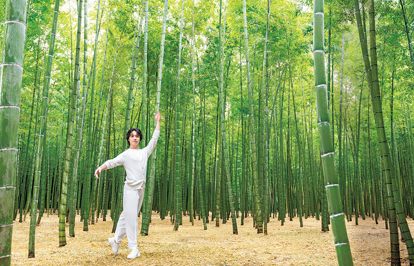 バレエダンサー 柄本 弾さんが、懐かしの竹林に遊ぶ。若竹の杜 若山