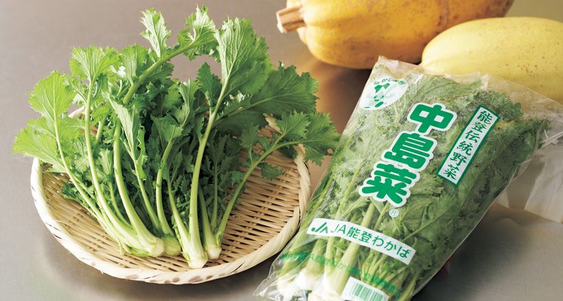 能登伝統野菜の中島菜と奥は金糸瓜。