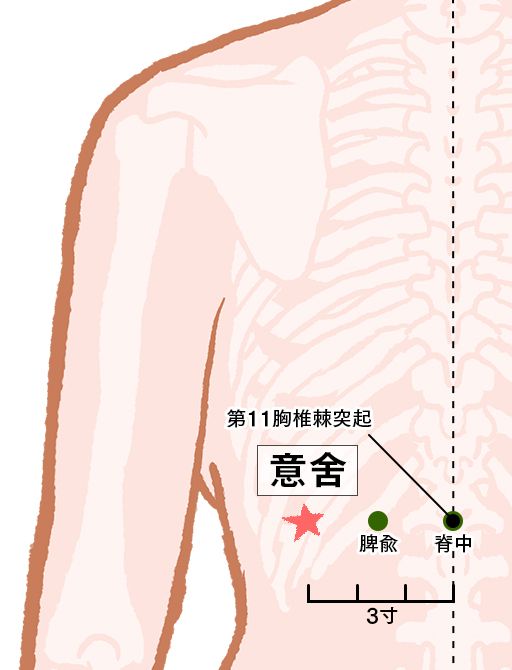 意舍（いしゃ）：膀胱経のツボ