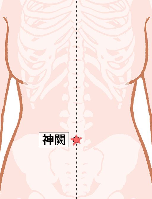神闕（しんけつ）：任脈のツボ