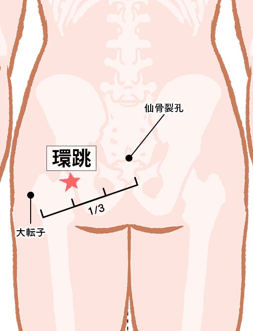 環跳（かんちょう）：胆経のツボ