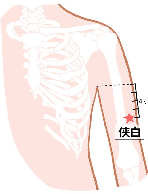 侠白（きょうはく）：肺経のツボ