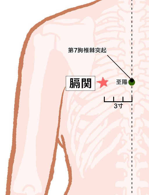 膈関（かくかん）：膀胱経のツボ