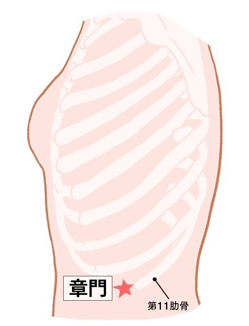 章門（しょうもん）：肝経のツボ