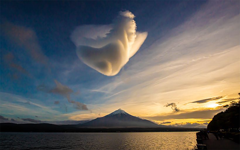 写真／まりも
