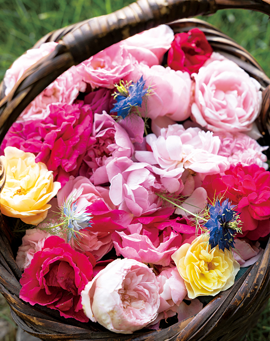 伊万里焼【色絵薔薇唐草文花瓶】森正洋（まさひろ作）高さ約46㎝ マカロンとの色合わせ、花束を手土産に……バラづくしのおもてなし