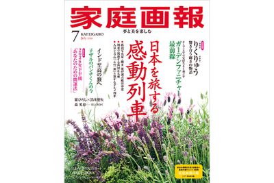 『家庭画報』2026年7月号　通常サイズ版