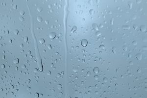 雨の日の外出が少し楽しくなる。雨の音や強さに注目して雨を感じる