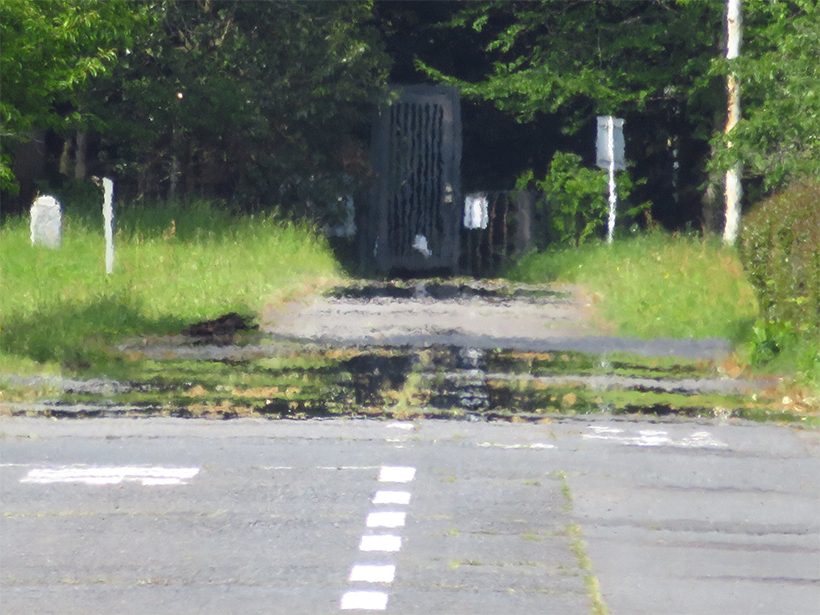 晴れた日に道路で見られる水たまりのような「逃げ水」とは | 家庭画報
