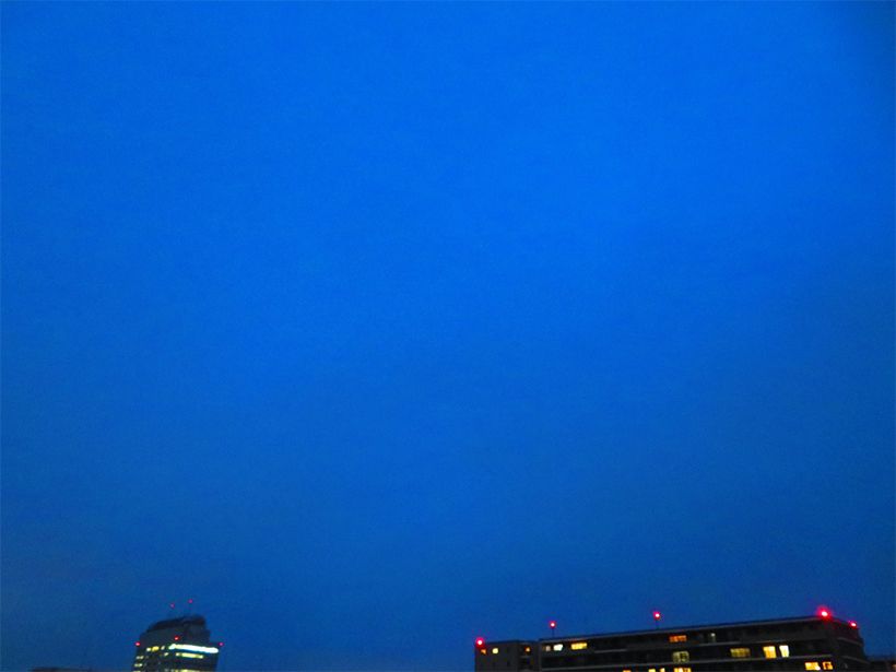 写真／荒木健太郎