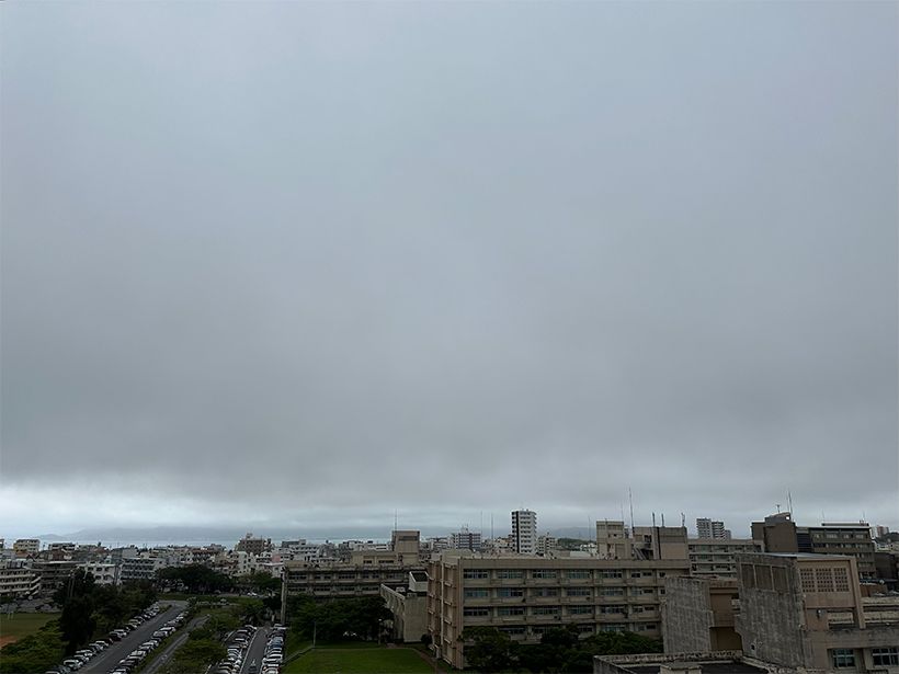 写真／荒木健太郎