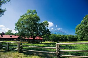 小岩井農場にできた東北の新拠点。Azuma Farm Koiwai（盛岡）