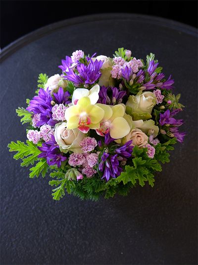 小料理屋さんの周年祝いに、ダイアンサス‘ラフィーネ ピア’の淡いピンクと、カンパニュラ・グロメラータの鮮やかな紫を対比させたアレンジを制作。紫を背景に‘ラフィーネ ピア’のかわいらしい花色がよく映えます。ファレノプシス‘シュガーキャンディ’とバラ‘デザート’を加えてボリュームアップし、周囲にローズゼラニウムをあしらってナチュラルな雰囲気に仕上げました。