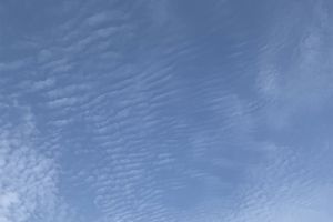雨の兆しになる「水まさ雲」とは。地域によってどんな雲を指すかが異なります
