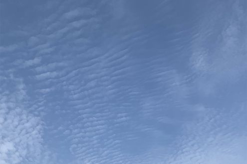 雨の兆しになる「水まさ雲」とは。地域によってどんな雲を指すかが異なります