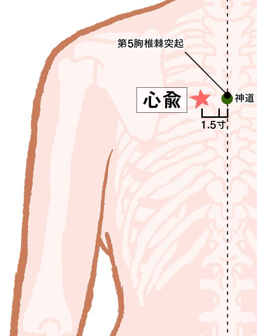 心兪（しんゆ）：膀胱経のツボ